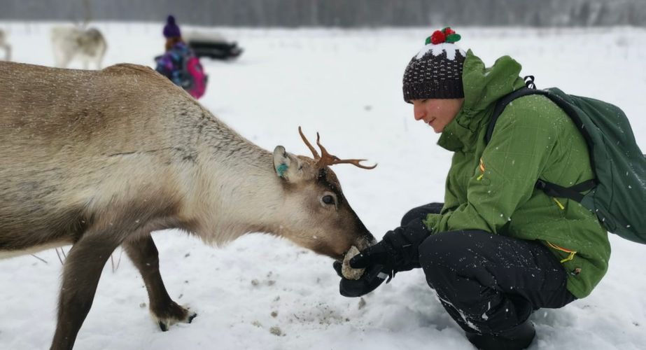 29 38 Lapland 34 29 38 Lapland 34